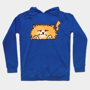 Fluffy Orange Cat Hoodie